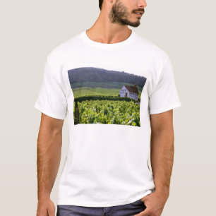 T-shirts Chambertin Clos de Beze Grand Cru vinhedo com