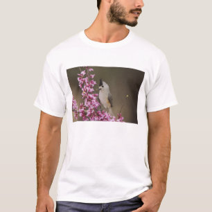 T-shirts Chapim-de-crista-preta, Baeolophus