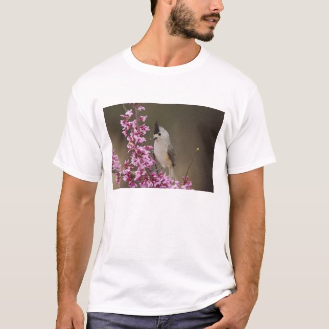 T-shirts Chapim-de-crista-preta, Baeolophus (Frente)