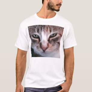 T-shirts Charlotte