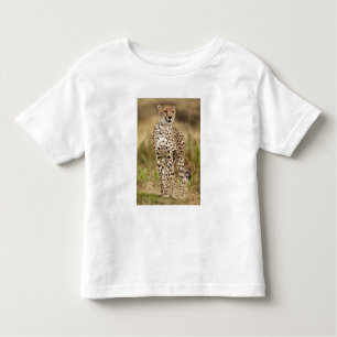 T-shirts Cheetah, Acinonyx jubatus, no Masai Mara