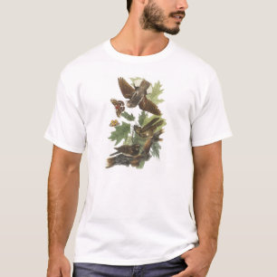 T-shirts Chicote-pobre- por Audubon