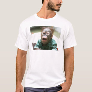 T-shirts Chimpanzé