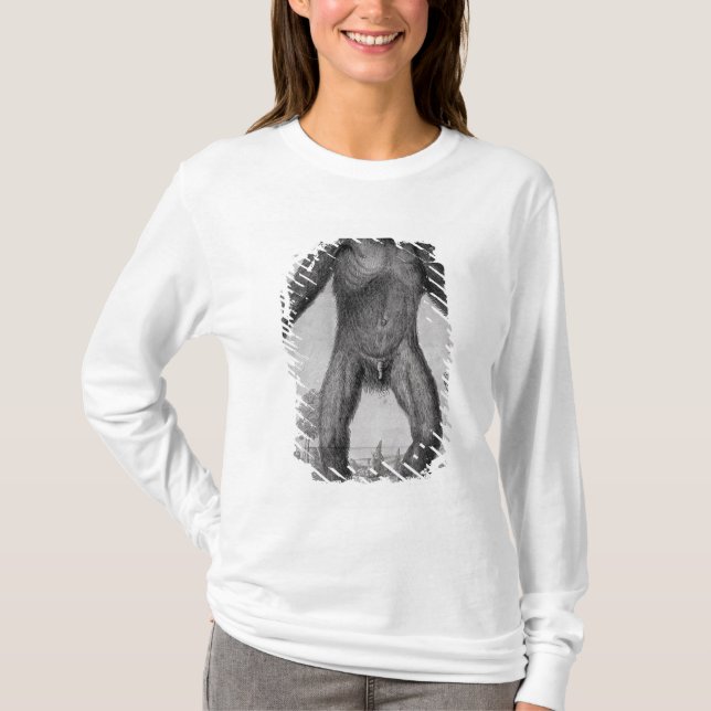 T-shirts Chimpanzé, 1699 (Frente)