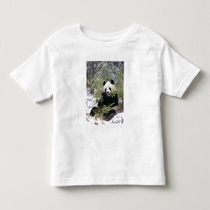 T-shirts China, Província de Sichuan. Giant Panda alimenta-
