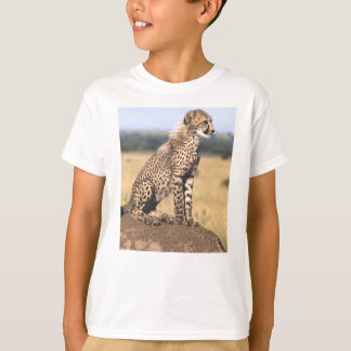 T-shirts Chita Cub 3