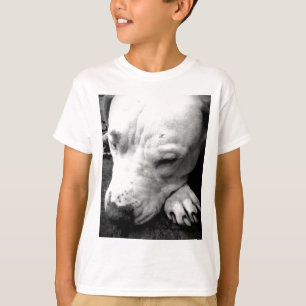 T-shirts cicatriz do harry potter cachorro pit bull branco