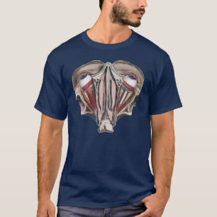 T-shirts Ciência de Anatomia Humana Vintage, Globos Oculare