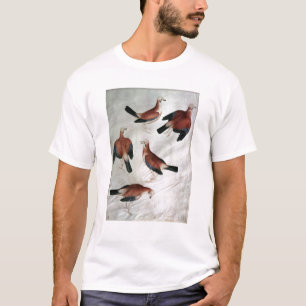 T-shirts Cinco Jays, do álbum de Vallardi