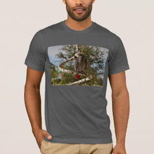 T-shirts Cinza africano de Congo em um balanço