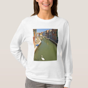 T-shirts Cisnes no canal, Ilha de Burano, Veneza, Itália