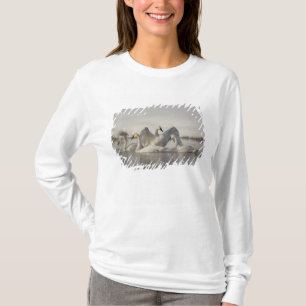 T-shirts Cisnes Trombeteiros no rio Madison no inverno