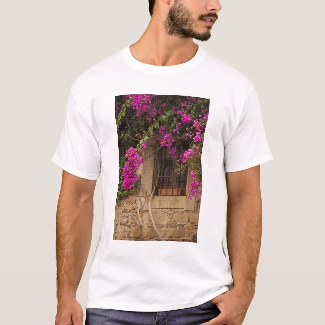 T-shirts Ciudad Monumental, edifícios cobertos de flores (Frente)