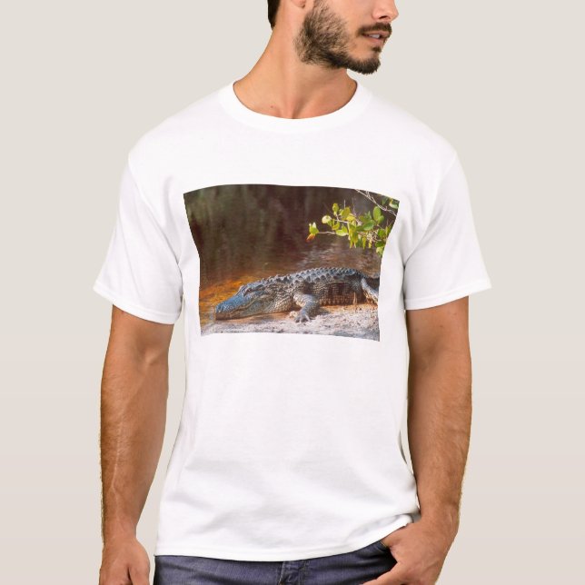 T-shirts Close de um aligátor americano no J.N. (Frente)