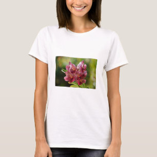 T-shirts Cluster Orquídeo Tropical de Vanda