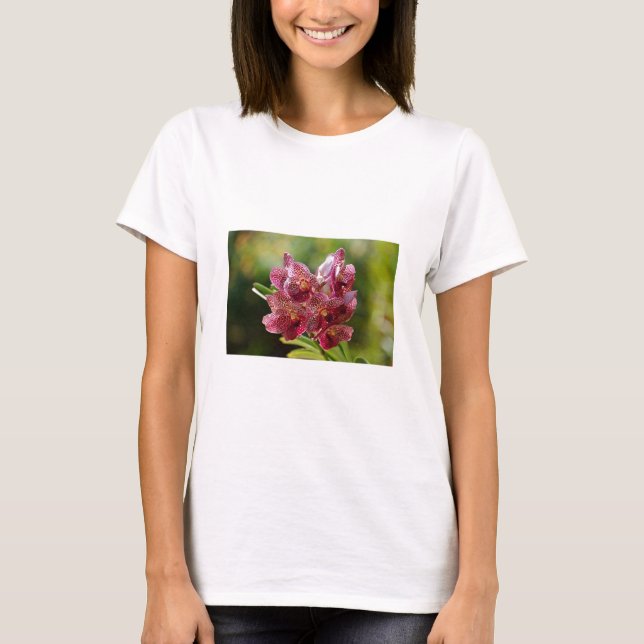 T-shirts Cluster Orquídeo Tropical de Vanda (Frente)