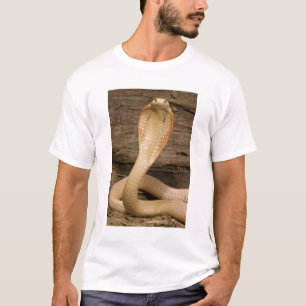 T-shirts Cobra Monóculo Albina, Naja kaouthia, enrolada