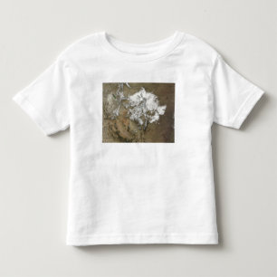 T-shirts Cobrir de neve as montanhas rochosas no estado