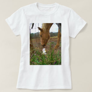T-shirts coelhinho de cavalo e Primavera