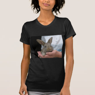 T-shirts coelho pequeno doce