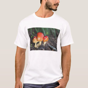T-shirts cogumelo da família Amanita