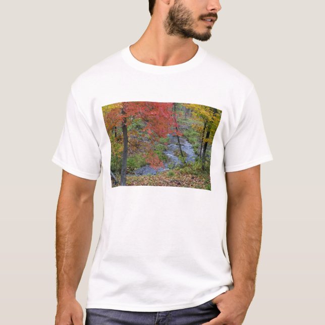 T-shirts Coles Creek alinhados com árvores de mapa do outon (Frente)
