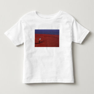 T-shirts Colheita de Cranberry, Middleboro, MA, EUA
