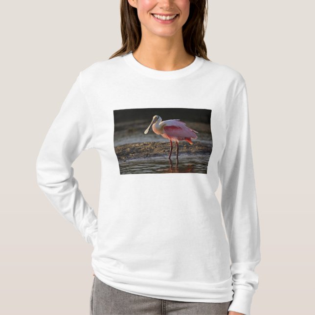 T-shirts Colhereiro-rosado, Ajaia ajaja, Ding Darling (Frente)