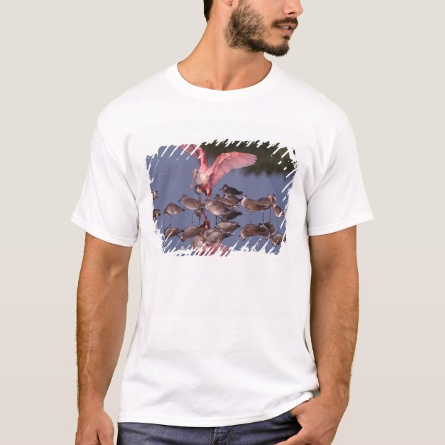 T-shirts Colhereiro-rosado com maçaricos-de-bico-fino em ág (Frente)