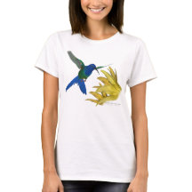 colibri Andorinha-atado