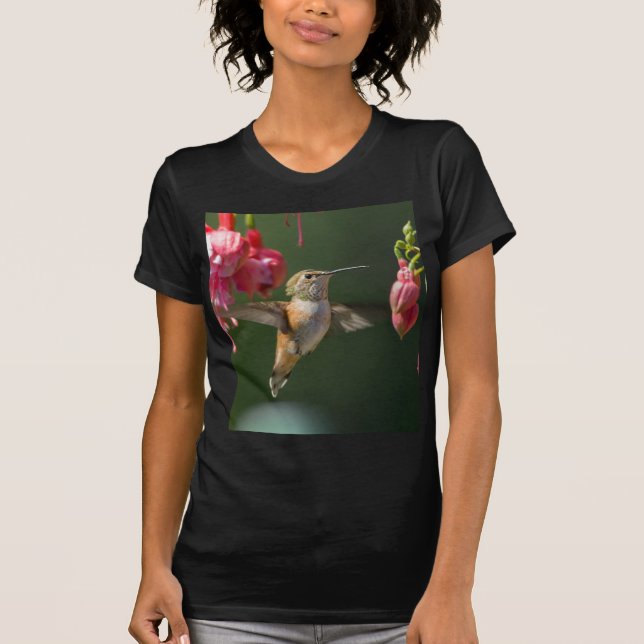 T-shirts Colibri Rufous que alimenta em um fúcsia (Frente)