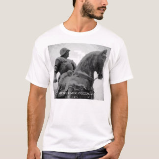 T-shirts Colleoni