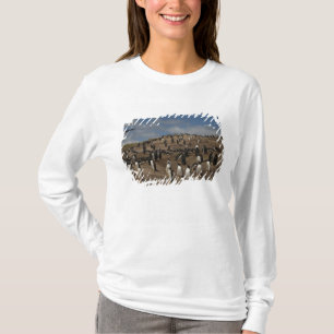 T-shirts Colônia de Pinguim Gentoo (Pygoscelis papua) no Oe