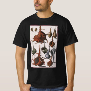 T-shirts Conchas, Conchas Antigas, Vida Marinha do Oceano