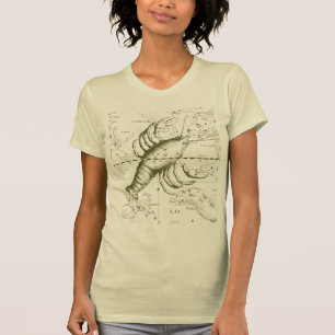T-shirts Constelação de cancer Hevelius 1690 Decor