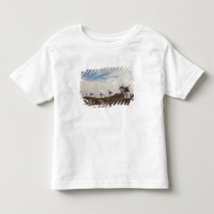 T-shirts Consuegra, antigos moinhos de vento de La Mancha