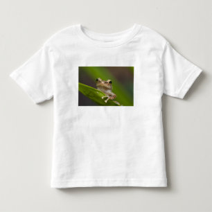 T-shirts Coqui comum, coqui do Eleutherodactylus, EL