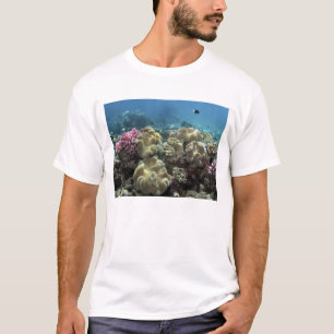 T-shirts Coral, Recife Agincourt, Grande Barreira de Coral,