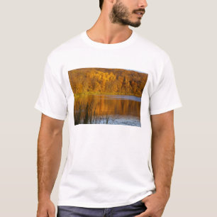 T-shirts Cores de outono no Parque Estadual Maplewood perto