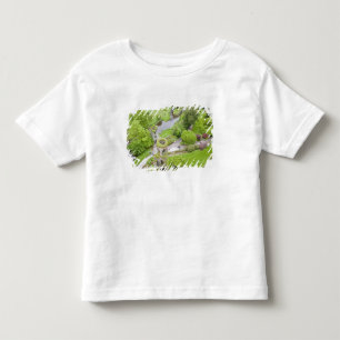 T-shirts Cork, Irlanda. O infame Castelo de Blarney