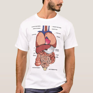 T-shirts Corpo humano