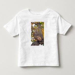 T-shirts Coruja-americana
