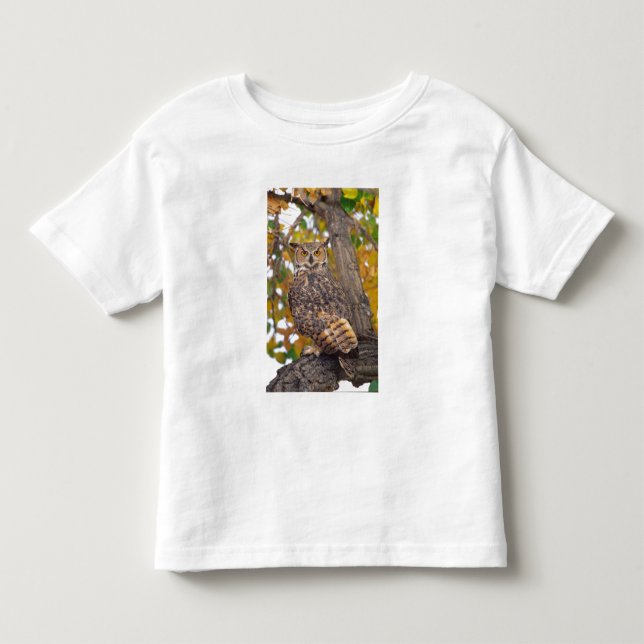 T-shirts Coruja-americana (Frente)