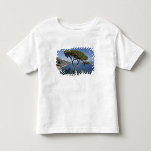 T-shirts Costa Amalfitana, Ravello, Campânia, Itália
