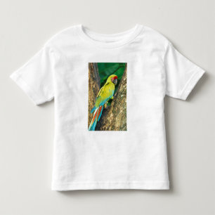 T-shirts Costa Rica, Arara Ambigua, Grande Arara Verde.