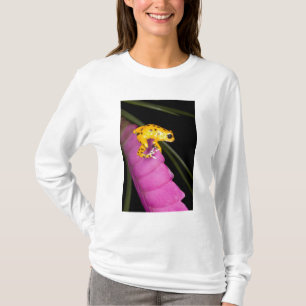 T-shirts Costa Rica. Close-up de sapo venenoso