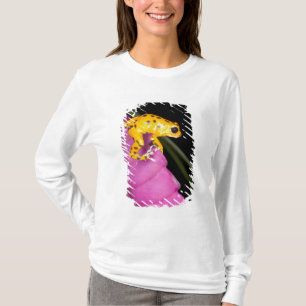 T-shirts Costa Rica. Close-up de sapo venenoso