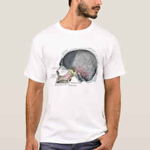T-shirts Crânio da criança com cor