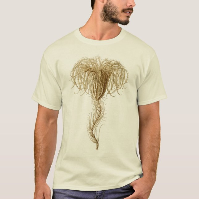 T-shirts Crinoids (Frente)