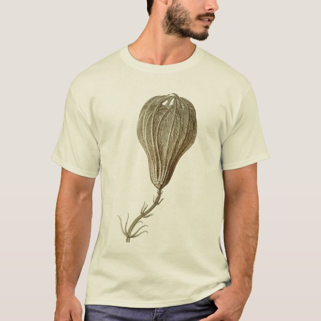T-shirts Crinoids (Frente)